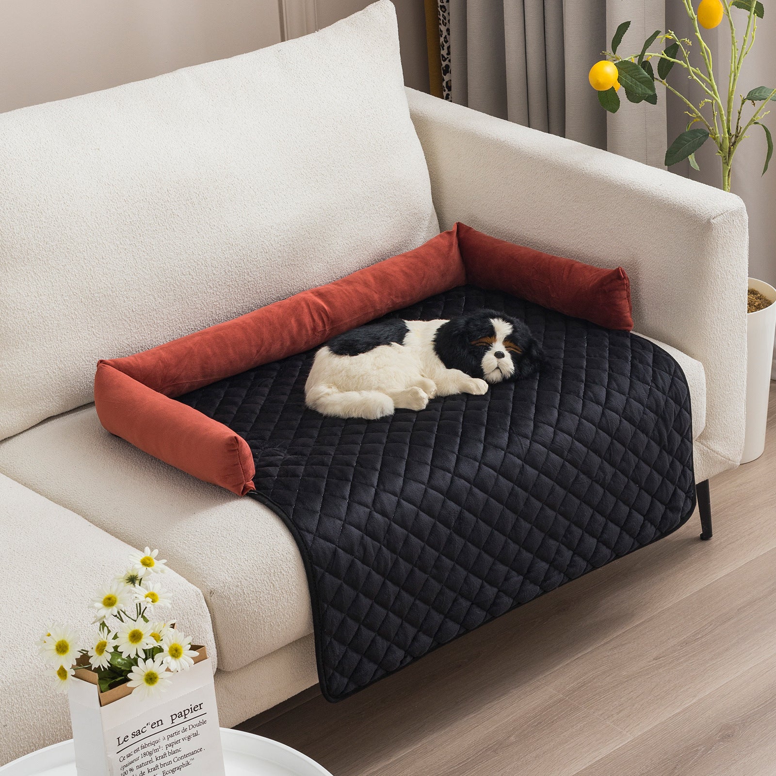 Divanetto per Cani e Gatti – Lavabile, Morbido, con Cuscino Integrato e Base Antiscivolo