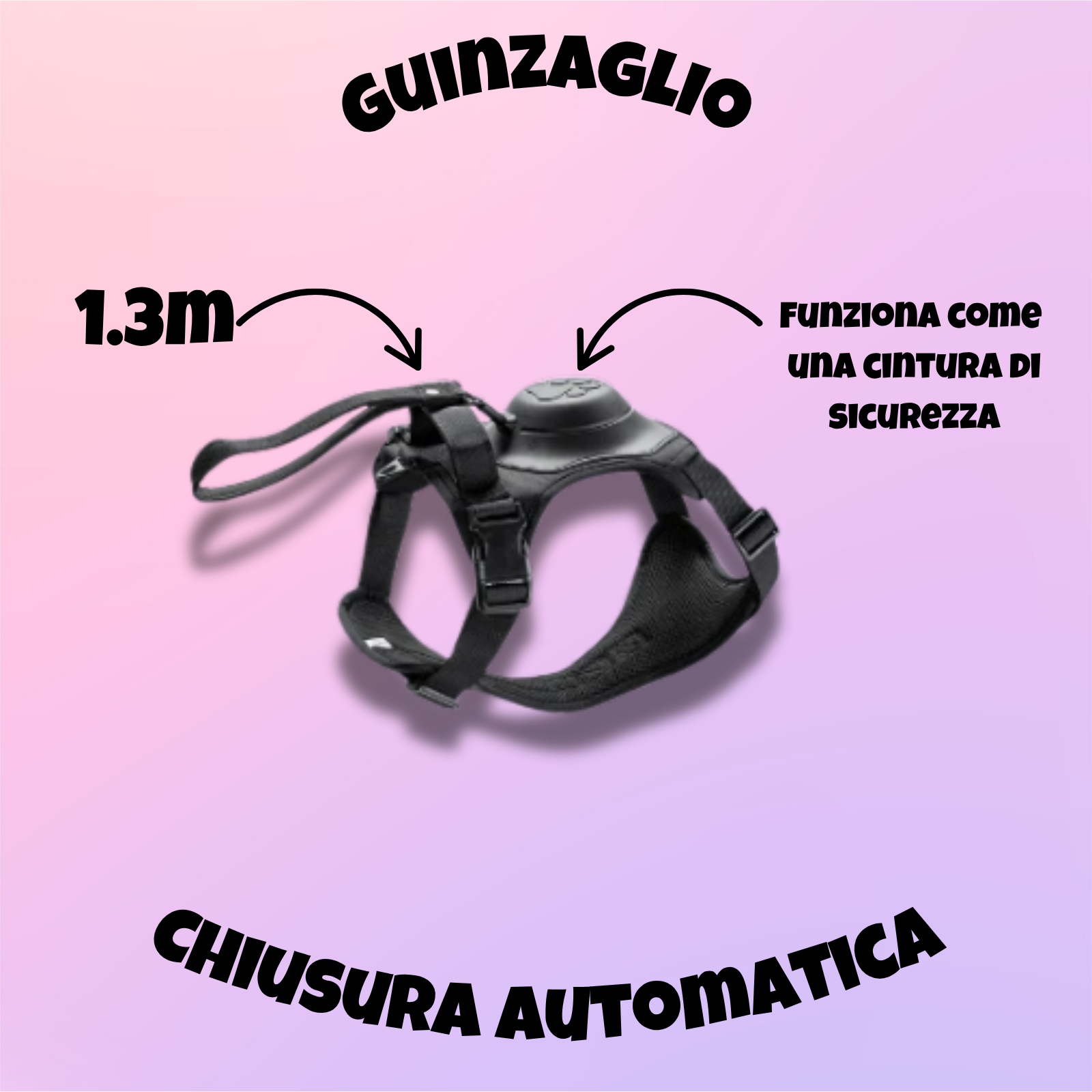 Coccole Pro