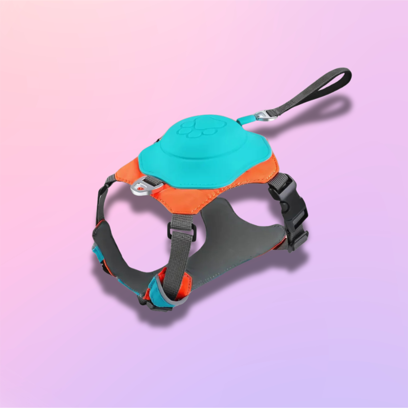 Coccole Pro Mini