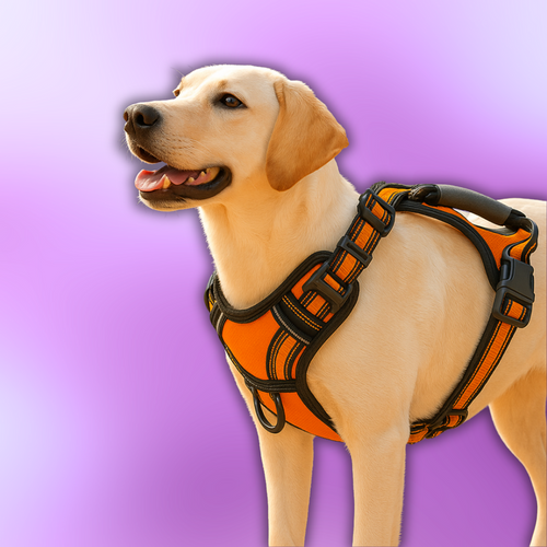 Coccole Pets - Pettorina Antitrazione Riflettente per Cani