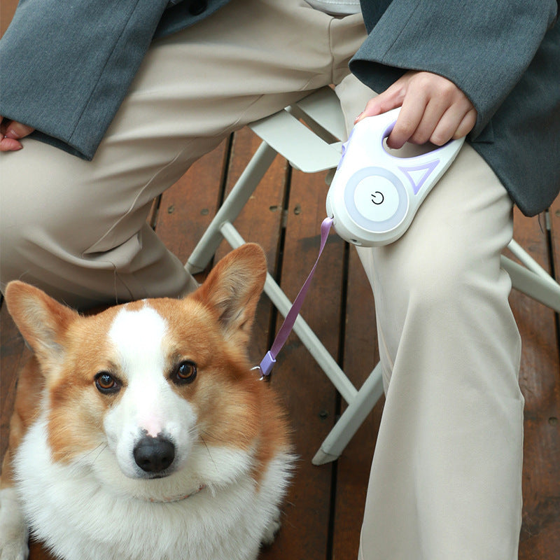 Guinzaglio Retrattile con Luce LED – Con Collare Abbinato per Cani e Gatti