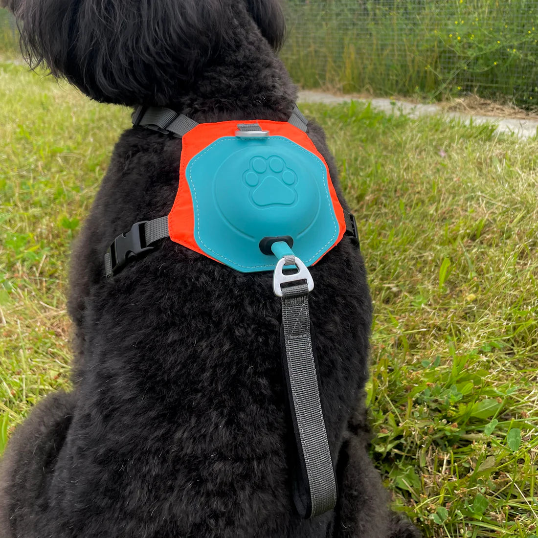 Coccole Pro Mini