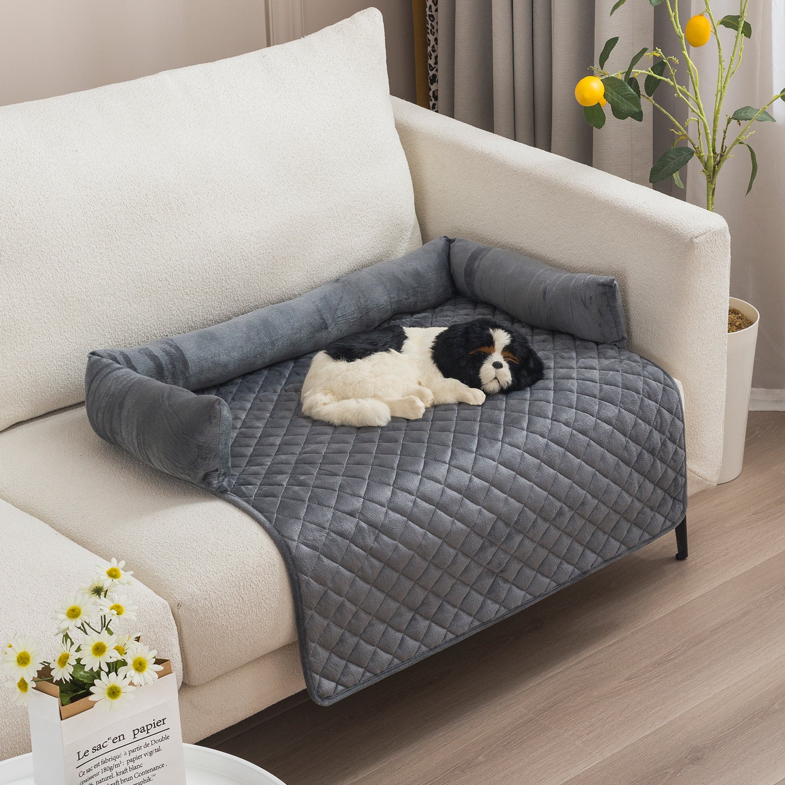 Divanetto per Cani e Gatti – Lavabile, Morbido, con Cuscino Integrato e Base Antiscivolo