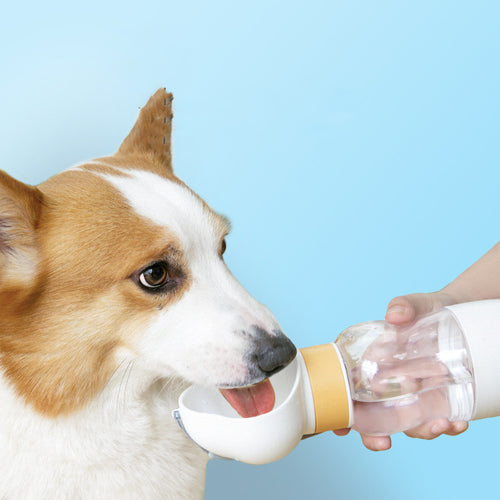 Borraccia Portatile 2-in-1 per Cani – Acqua e Сibo in Viaggio